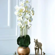 The Beauty Of Orchid  Flower Vase