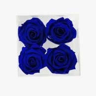 The bloom | 4 Royal blue Single roses