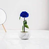 كبسولة الرخام الأبيض - وردة أزرق ملكي