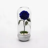 كبسولة الرخام الأبيض - وردة أزرق ملكي
