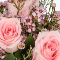 The Delicate Enchantment Roses Arrangement