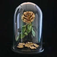 The Golden Bella By Forever Rose 