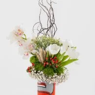 Tulip Vase by Silsal