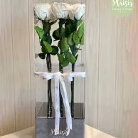 Vip Tall Acrylic Infinity White Roses By Plaisir