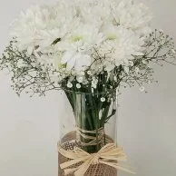 إناء زهور الأقحوان الأبيض