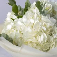 White Clouds of Hydrangea Bouquet