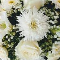 زهور بيضاء بتصميم بيضاوي 