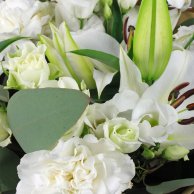 باقة يد من الزهور البيضاء الرائعة