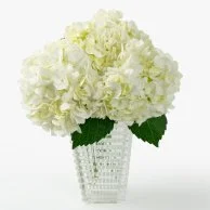 Luxury White Hydrangeas Arrangement