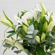 White Lilium in Grey Vase Flower Arrangement