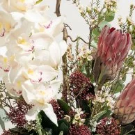 تنسيق زهور فيرونيكا البيضاء