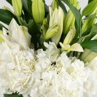 White Wonders Flower Arrangement*
