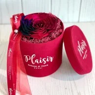 XL Multicoloured Infinity Rose in Red Box by Plaisir