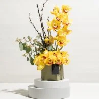تنسيق زهور النسيم الصفراء