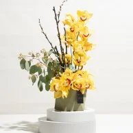 تنسيق زهور النسيم الصفراء