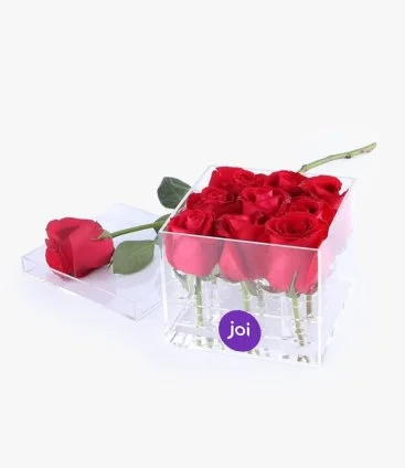 9 Roses in a Box 