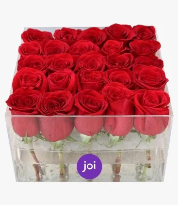 25 Roses in a Box 
