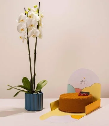Cake and White Orchid Gift Set by Ashjar
