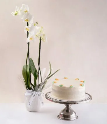 Carrot Cake & Orchids Bundle by Sugar Daddy's Bakery 