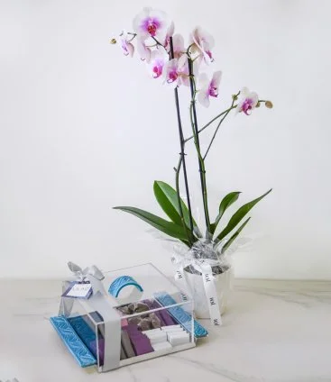 Elegant Chocolate Tray and Orchids Bundle By Lilac