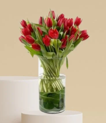 Exquisite Bouquet of Tulips
