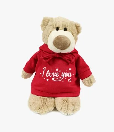 Mascot Bear 28cm in Red Hoodie with I Love You Print by Fay Lawson