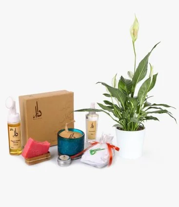 Organic Skincare Products & Home Plant Bundle
