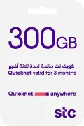 Quicknet Recharge Card - 300 GB for 3 Months