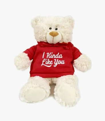Teddy Bear 38cm in Red Hoodie with I Kinda Like You Print by Fay Lawson