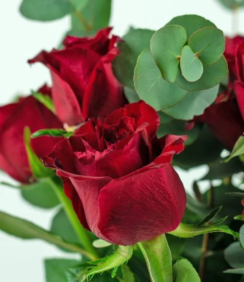 12 Red Roses & Eucalyptus Bouquet
