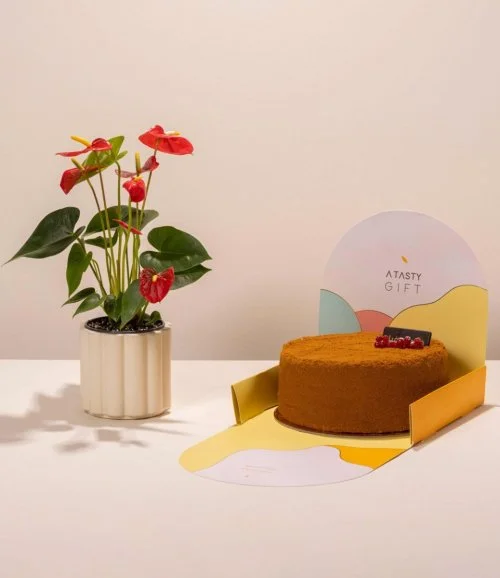Ashjar Anthurium and Cake Gift Set