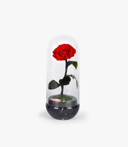 Capsule Red Rose Black Marble by Forever Rose London