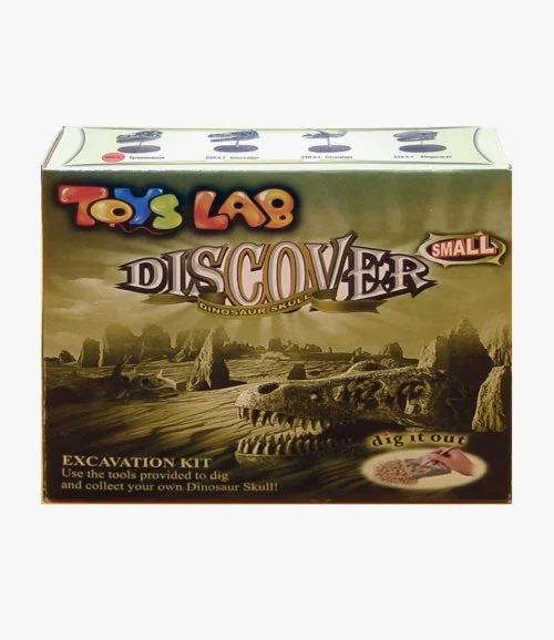 Exploration Game Discover the Dinosaur Skull (Small)