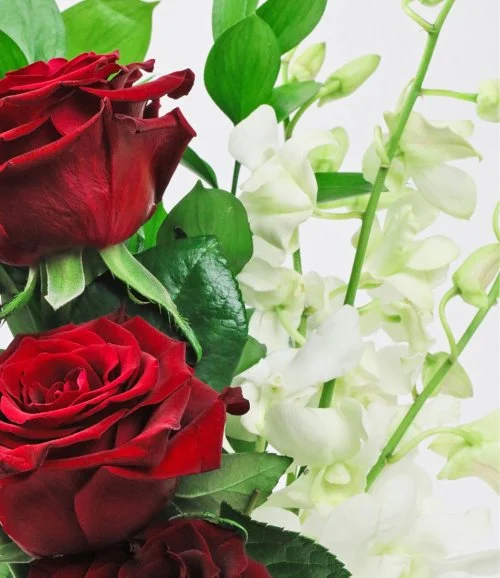 عشق الورد الأحمرالكلاسيكي 