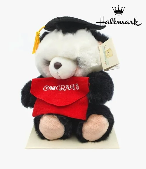 Hallmark Graduation Stuffed Panda Toy with Envelope