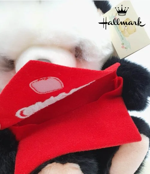 Hallmark Graduation Stuffed Panda Toy with Envelope