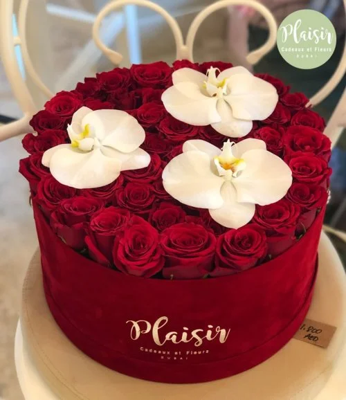 Fresh Red With Phalaenopsis Blooms In A Hatbox By Plaisir