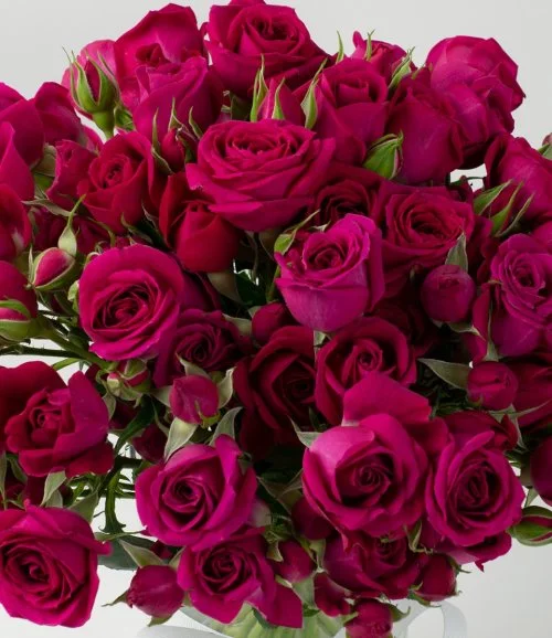 Hot Pink Roses Flower Arrangement