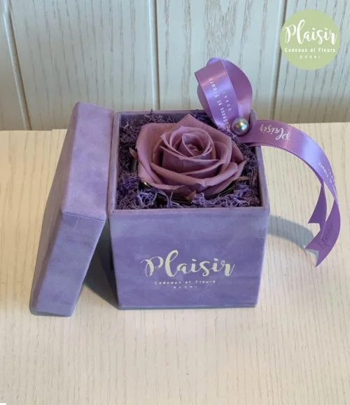 Single Infinity Purple Rose Box By Plaisir
