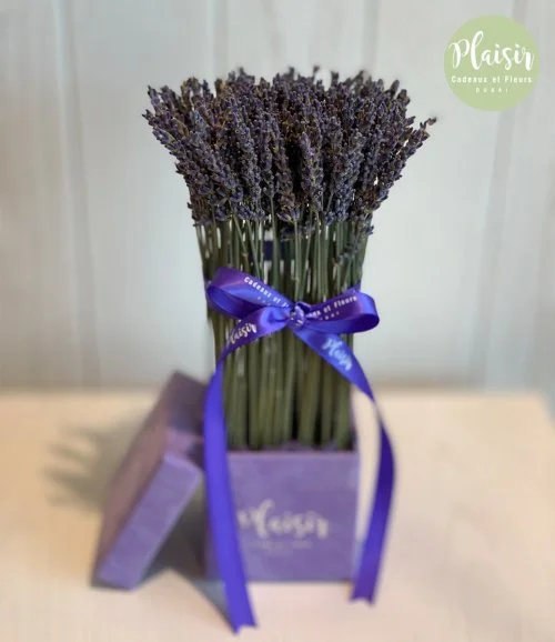 Lavender In Lilac Box By Plaisir