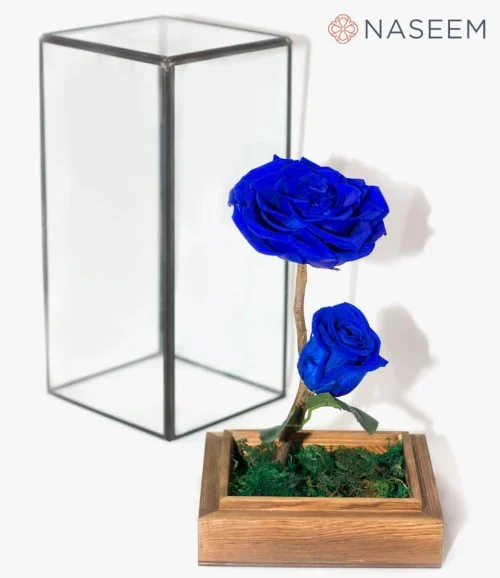 Long Life Double Blue Roses