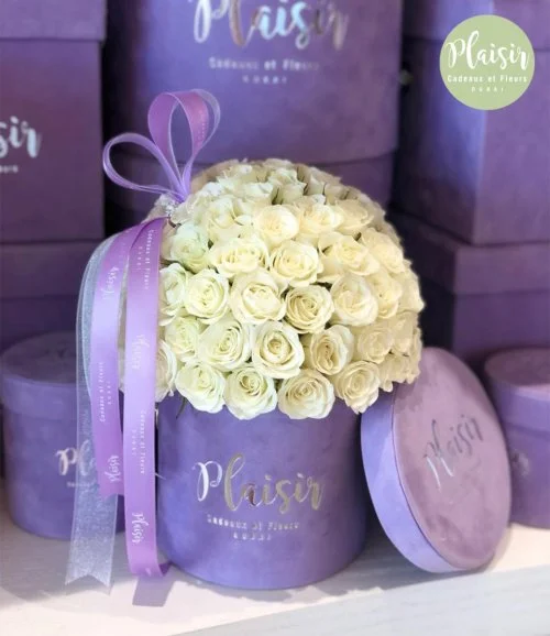 Mini Dome Lilac Box White Rose By Plaisir