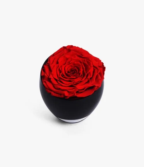 One Love by Forever Rose London