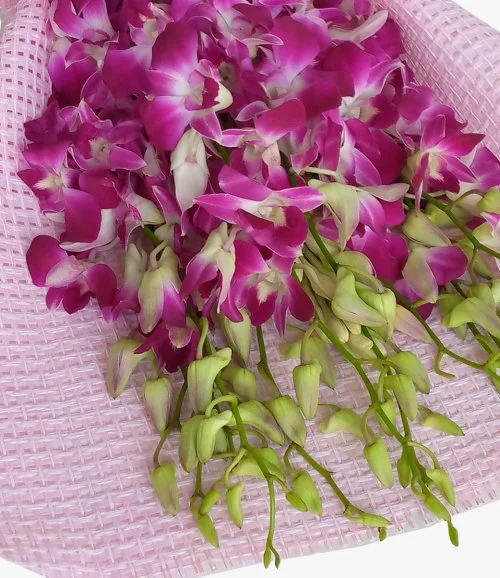 Orchid Arrangement