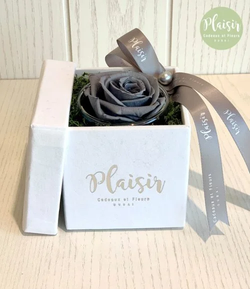 Single Infinity Grey Rose Box By Plaisir