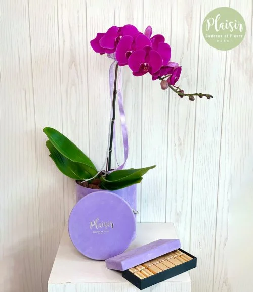 Single Orchid and Patchi Chocolate Giftset in Lilac By Plaisir