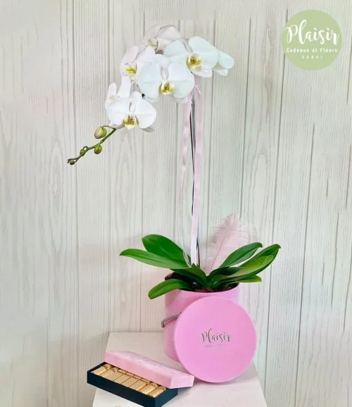 Single Orchid and Patchi Chocolate Giftset in Pink By Plaisir