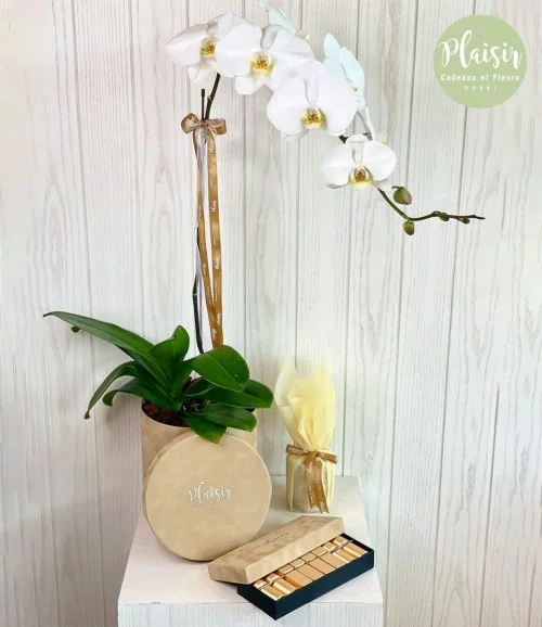 Single Orchid, Candle and Patchi Chocolate Giftset in Tan By Plaisir
