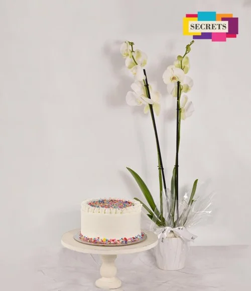 Sprinkles Cake & Orchids Bundle By Secrets