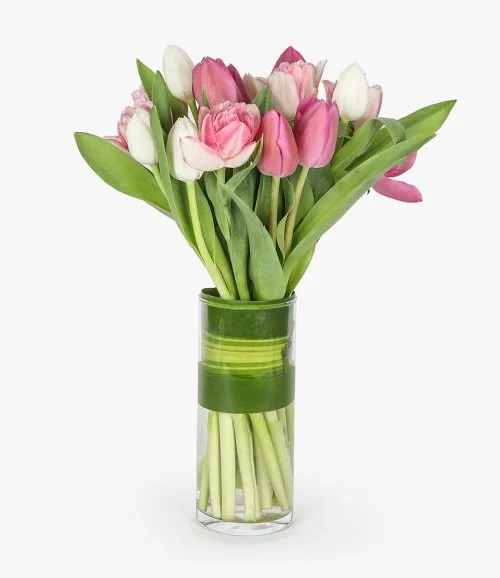 Tulip Flower Weekly Subscription